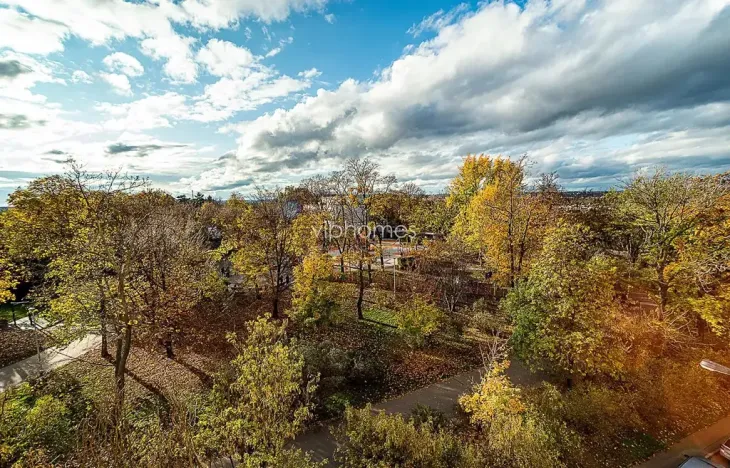 Pronájem bytu 4+kk, Praha - Vinohrady, Na Švihance, 150 m2