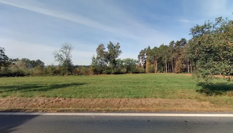 Prodej lesa, Luženičky, 15277 m2
