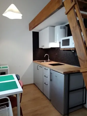 Prodej bytu 1+kk, Praha - Nové Město, Sokolská, 22 m2