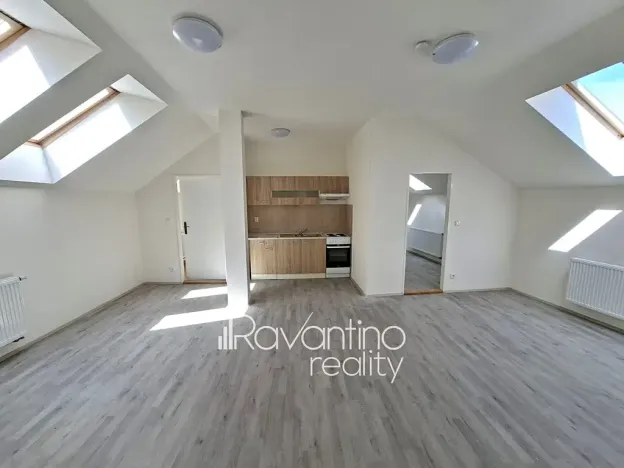 Pronájem ubytování, Brno, Cacovická, 371 m2