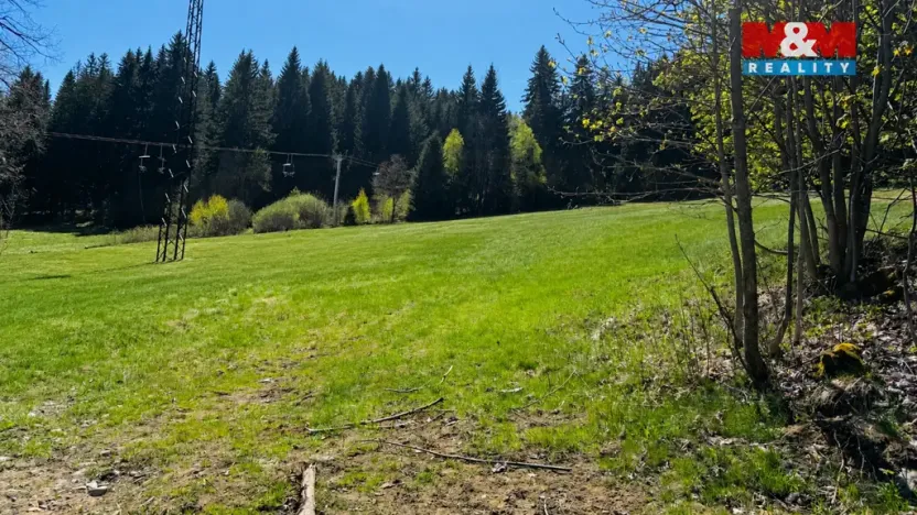 Prodej louky, Stachy, 4150 m2