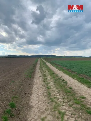 Prodej pole, Voděrady, 9520 m2