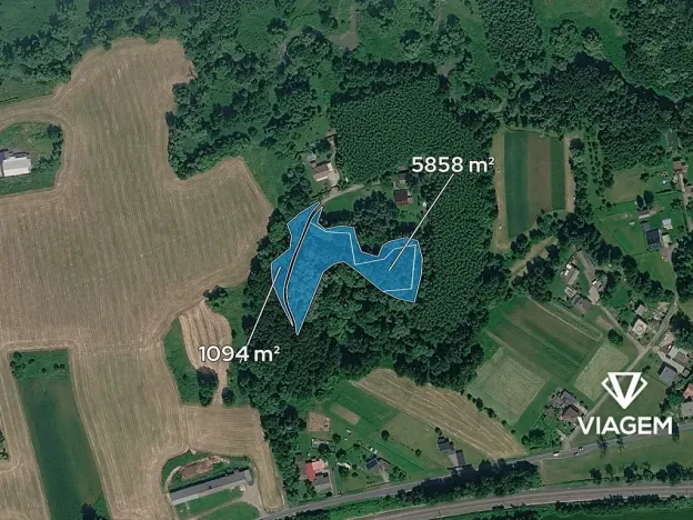 Prodej podílu lesa, Petrovice u Karviné, 2317 m2