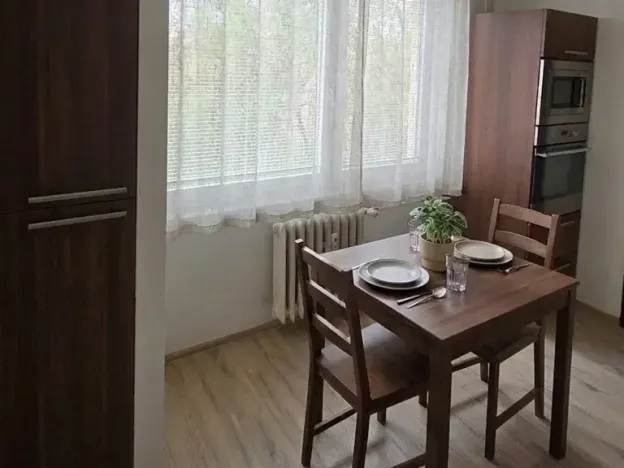 Pronájem bytu 2+1, Brno, Palackého třída, 48 m2
