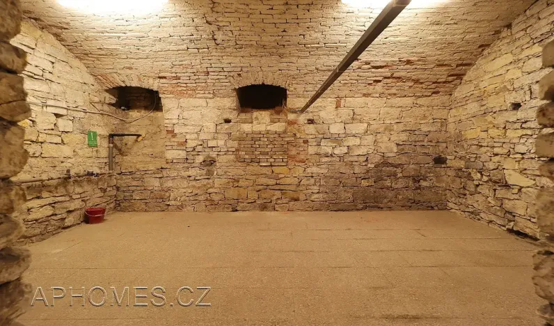 Pronájem skladu, Praha - Nové Město, Opatovická, 61 m2