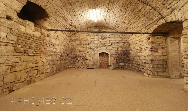 Pronájem skladu, Praha - Nové Město, Opatovická, 61 m2