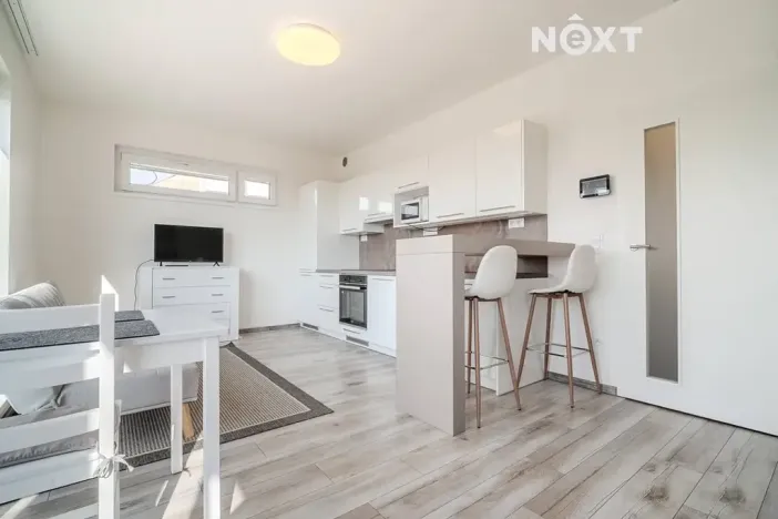 Pronájem bytu 1+kk, České Budějovice, O. Nedbala, 41 m2