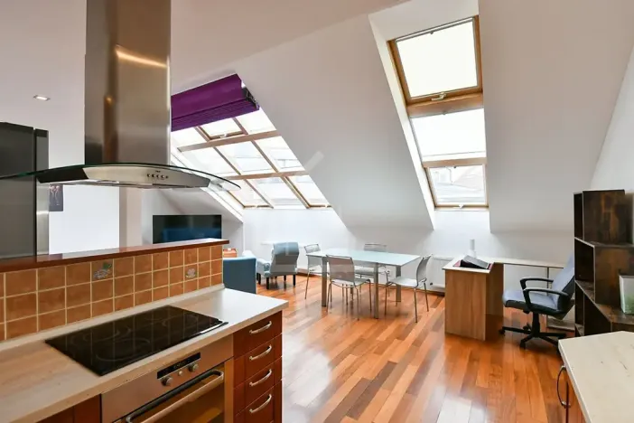 Pronájem bytu 2+kk, Praha - Nové Město, Helmova, 107 m2