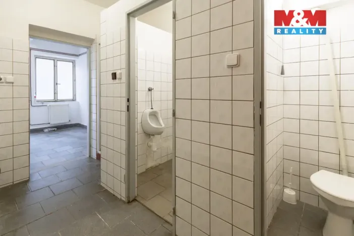 Pronájem výrobních prostor, Dnešice, 694 m2