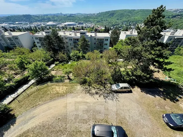 Prodej bytu 2+1, Brno, Rezkova, 61 m2
