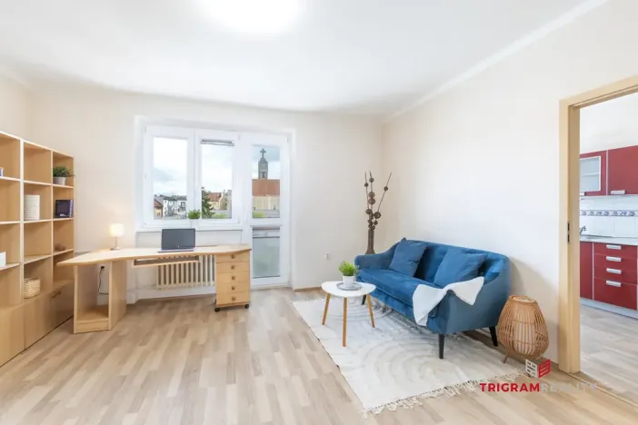 Prodej bytu 2+1, Hradec Králové - Pražské Předměstí, Puškinova, 57 m2