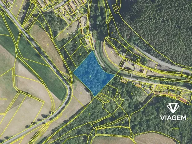 Prodej podílu lesa, Chlum, 1312 m2