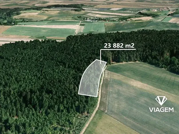 Prodej podílu lesa, Radkovice u Budče, 13197 m2