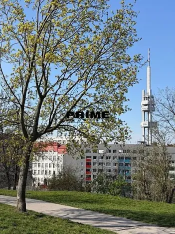 Pronájem bytu 2+kk, Praha - Žižkov, Jeseniova, 57 m2
