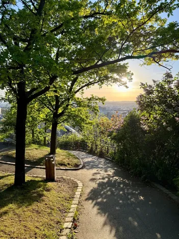 Prodej bytu 2+kk, Praha - Žižkov, Dalimilova, 52 m2