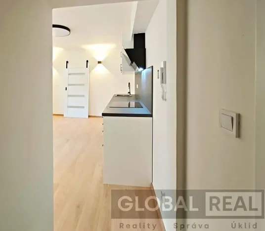 Pronájem bytu 1+kk, Jihlava, Havlíčkova, 21 m2