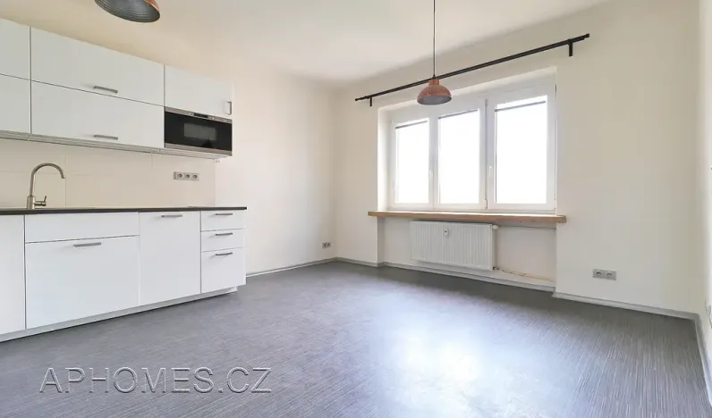 Pronájem bytu 2+1, Praha - Žižkov, Biskupcova, 81 m2