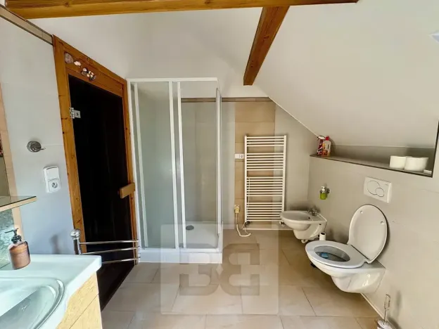 Pronájem bytu 3+kk, Velké Opatovice, Sokolská, 195 m2