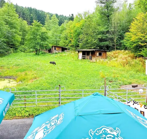 Pronájem komerční nemovitosti, Valašské Klobouky, 467 m2