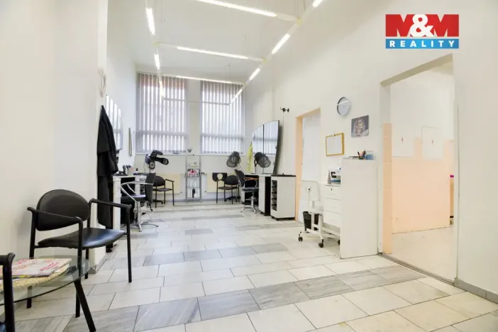 Prodej obchodního prostoru, Chomutov, Palackého, 159 m2