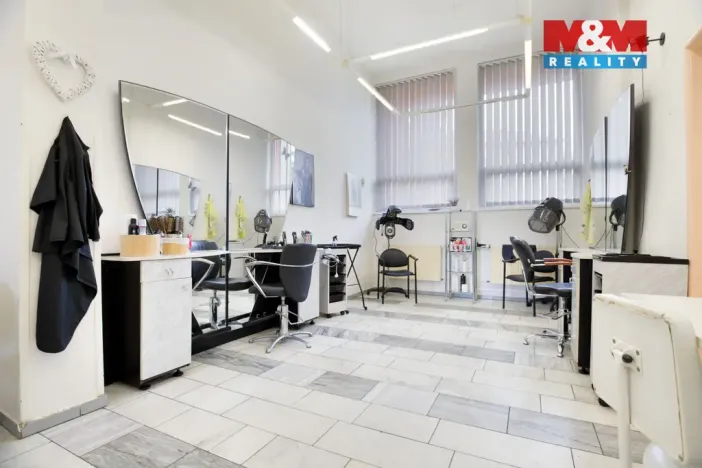 Prodej obchodního prostoru, Chomutov, Palackého, 159 m2