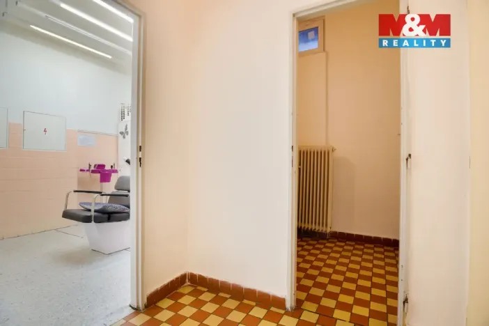 Prodej obchodního prostoru, Chomutov, Palackého, 159 m2