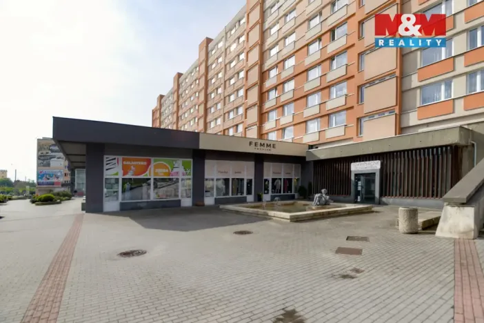 Prodej obchodního prostoru, Chomutov, Palackého, 159 m2