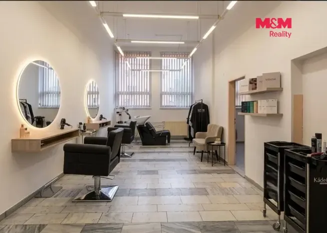 Prodej obchodního prostoru, Chomutov, Palackého, 159 m2