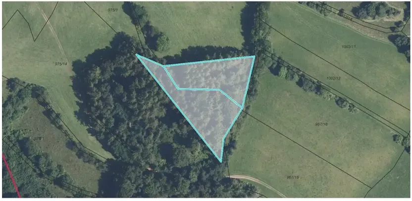 Prodej podílu lesa, Postřelmůvek, 5208 m2