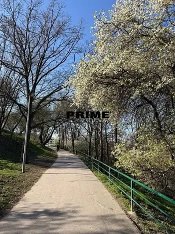 Pronájem bytu 3+kk, Praha - Žižkov, Prokopova, 71 m2