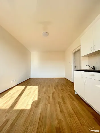 Prodej bytu 1+kk, Mšené-lázně, Mládežnická, 38 m2
