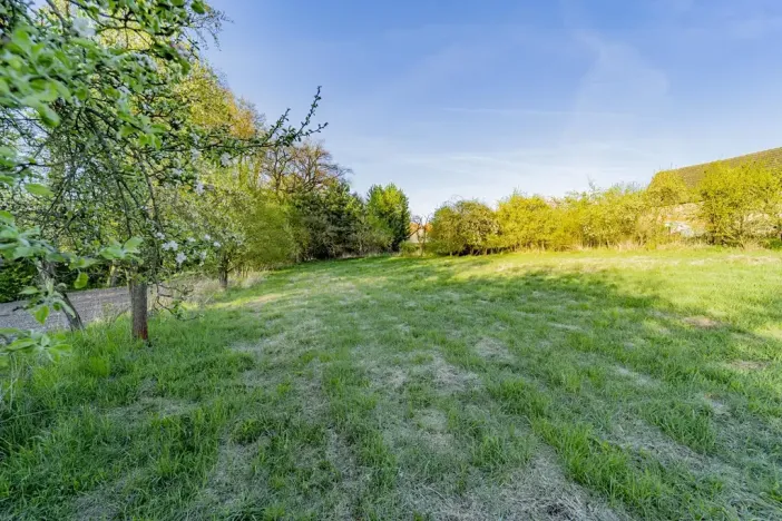 Prodej pozemku pro bydlení, Svojetín, 3831 m2