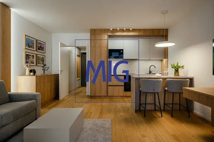 Pronájem bytu 1+kk, Brno, Bratislavská, 45 m2