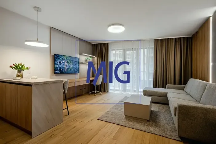 Pronájem bytu 1+kk, Brno, Bratislavská, 45 m2