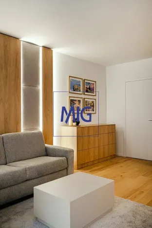 Pronájem bytu 1+kk, Brno, Bratislavská, 45 m2