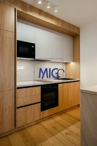 Pronájem bytu 1+kk, Brno, Bratislavská, 45 m2