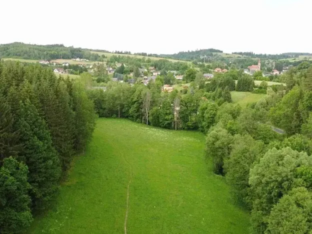Dražba louky, Čermná, 2083 m2