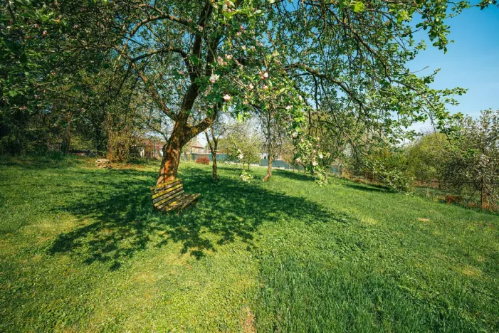Prodej zahrady, Suchonice, 1301 m2