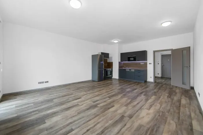Pronájem bytu 2+kk, Plzeň - Severní Předměstí, Bolevecká, 58 m2