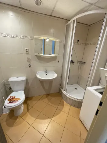Pronájem bytu 1+1, Plzeň, Karlovarská, 33 m2