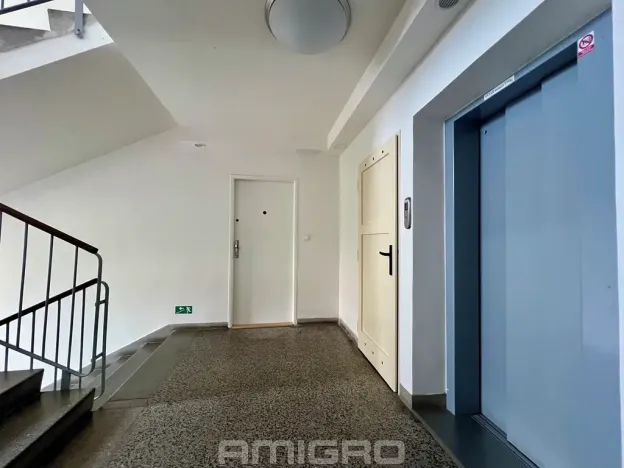 Prodej bytu 1+1, Brno, Merhautova, 48 m2