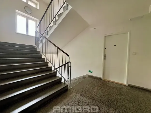 Prodej bytu 1+1, Brno, Merhautova, 48 m2