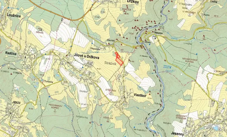 Prodej louky, Jílové u Držkova, 5847 m2