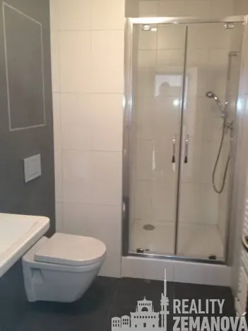 Pronájem bytu 1+kk, Praha - Michle, Hanusova, 38 m2