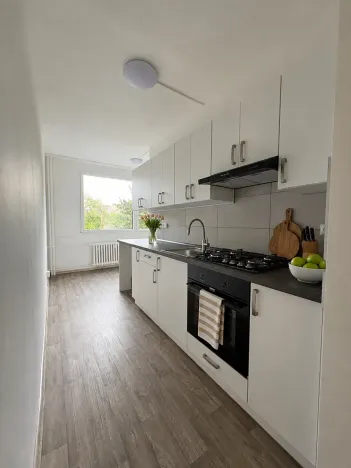 Pronájem bytu 3+1, Litvínov, Tylova, 81 m2