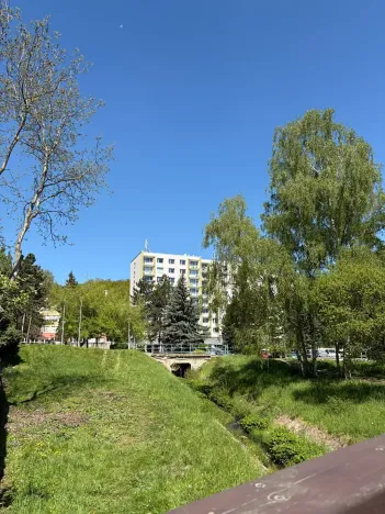 Pronájem bytu 3+1, Litvínov, Mládežnická, 82 m2