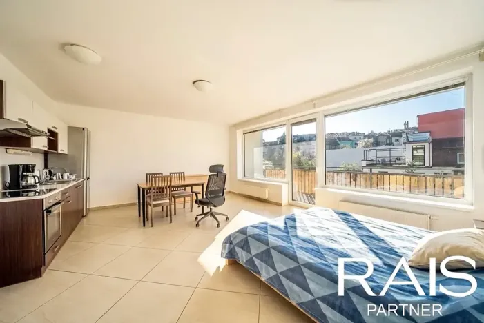 Prodej bytu 2+kk, Brno, Hálkova, 55 m2