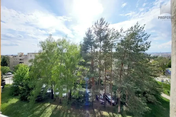 Prodej bytu 2+1, Brno, Došlíkova, 52 m2