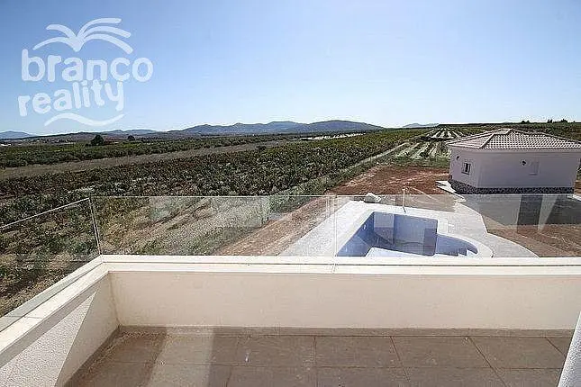 Prodej rodinného domu, Pinoso, Alicante, Španělsko, 150 m2