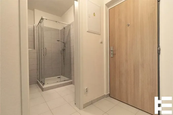 Pronájem bytu 1+kk, Plzeň, K Zelené louce, 31 m2